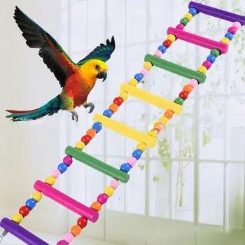 Krāsains Koka Putnu Vistas Elastīgu Kāpnes Smieklīgi Kāpšana Tilta Šūpoles Papagailis