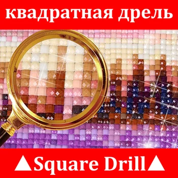 Pilna Dimanta Krāsošana Varde, Tualetes 5D DIY Dimanta Izšūšanas Komplekts Rhinestone mozaīkas Cross Stitch Dāvanas KBL