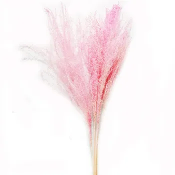 10pcs Kāzu dekorēšana rozā balts pampu zāle kaltētas dabas phragmites ziedi, mājas dekoru, dabiski kaltētu buķete kaltēti ziedi
