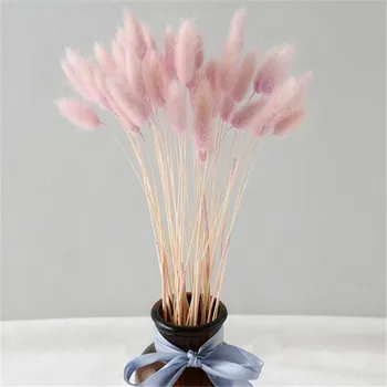 50 gab. rozā krāsa žāvēti pampas ziedi trušu asti zāle pušķi Lagurus Ovatus dabisko augu izcelsmes kāzu dekori ķekaru