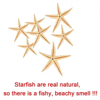 Mazie jūras zvaigzne Zvaigzne, Sea Shell Beach Amatniecības 0.4 collas-1.2 collu 90 Gab