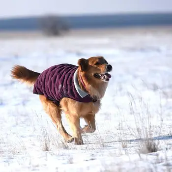 Ziemas drēbes suņiem, Maziem, Vidējiem Suņiem Silts Pretvēja Sabiezēt Pet Polsterēta Veste Kucēns Tērpu Teddy Suņu apģērbu