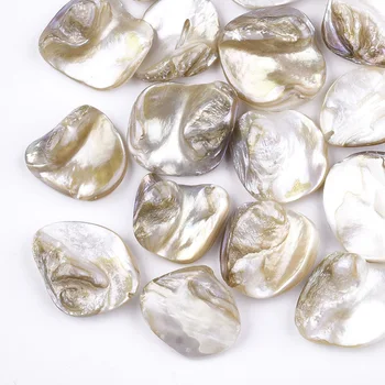 500g Čipu Sea Shell Pērļu Krelles rotaslietas pieņemšanas DIY Piederumi Rotā Caurums: 0.8 mm