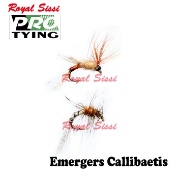 Royal Sissi 6pcs roku sasaistīto 16# foreļu zvejas kukaiņu lure ēsmu 2 izvēles stilu emergers callibeatis lidot zvejas mayfly lido