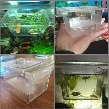 Zivju Audzētājs Lodziņā Vaislas Inkubatora Mājas Bērnu Zivju Akvārijs Inkubatorā Inkubācijas Turētājs un Izolācijas Tīro Zivju Tvertnes Inkubators Kaste