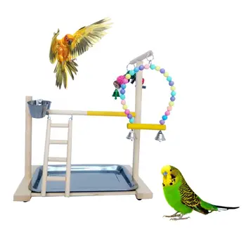 Koka Putnu Asari Stāvēt Papagailis Platformu Spēļu Laukums Interaktīvās Rotaļlietas Būri Dekori