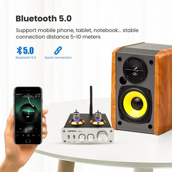 AIYIMA Bluetooth 5.0 HiFi 6J1 Vakuuma Cauruļu Preamp Pastiprinātājs Stereo Preamplifier Ar Trīskāršot, Bass Kontroles Mājas Skaņa Kinoteātra