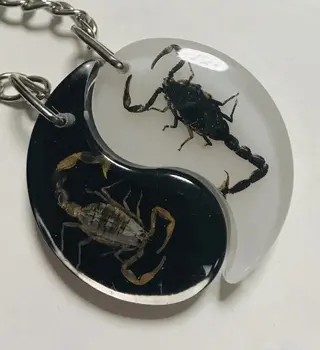 BEZMAKSAS PIEGĀDE YQTDMY jaunākās modes stila zelta black scorpion king atdzist divu krāsu apakšā keychain