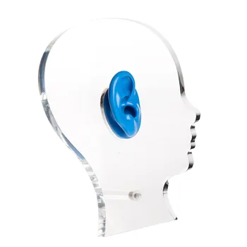 Galvas Formas Akrila Displejs ar Silikona Ausu Modeli, Parādot Dzirdes aparāti Stāvēt Aksesuārus, Rotaslietas displejs