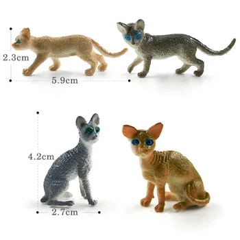 Jaunu Simulācijas Saimniecības Mājputni Mazie Pet Cat Suns statuetes Dzīvnieku modelis Diy mājas dekoru miniatūra pasaku dārzu dekorēšana aksesuāri