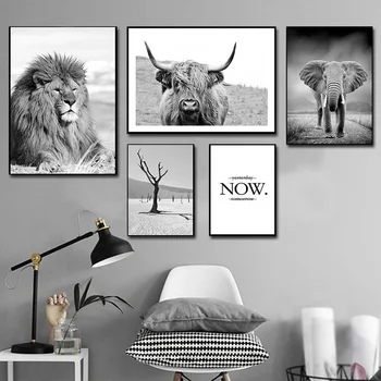 Highland Govs Lopu Dzīvnieku Sienas Mākslas Glezniecības Lauvas Animācijas Melns un Balts Audekls Krāsošana Sienas, Attēlus dzīvojamā istaba Dekori