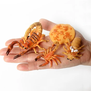 Modelēšanas Dzīves Cikls Skorpions Statuetes Plastmasas Scorpion Posmkāju Statuetes Savākšanas Zinātnes Izglītības Prop
