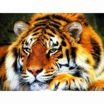 Dimanta Izšuvumi Tiger Diy Dimanta Krāsošana Pilnu Kvadrātveida Dzīvnieku Attēlu Rhinestone Dimanta Mozaīkas Modelis Amatu Mājas Dekoru