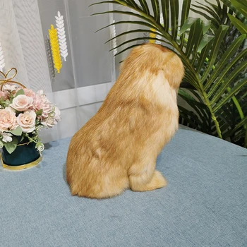 Reāli Labradoodle Suņu Rotaļlietas Pūkains Simulācijas Labradora Kucēns Lelle Dzīvnieku Figūriņas Statuja Chinldren Bithday Dāvanu Rotājumi