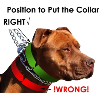 Suns Dakšas Apmācību Apkakles, Metāla Aizrīties Šķipsnu kaklasiksna ar Komfortu Padomi