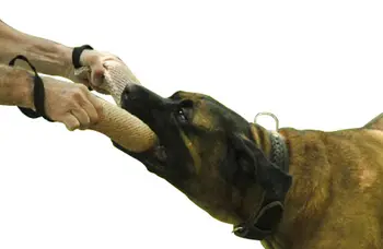 Veļa Suns Evakuatora Rotaļlietas Pet Bite Rotaļlietas, Ar 2 Rokturiem, Vidēji Lielu Pet Apmācību Spēlēt Mest 2 Izmēri Regulējami