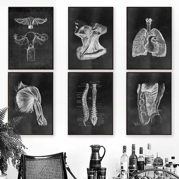 Kāju Muskuļu, Kaulu Un Sirds Anatomija Skelets Sienas Mākslas Audekls Gleznošanai Ziemeļvalstu Plakāti Un Izdrukas Sienas, Attēlus Ārsta Birojs Dekori