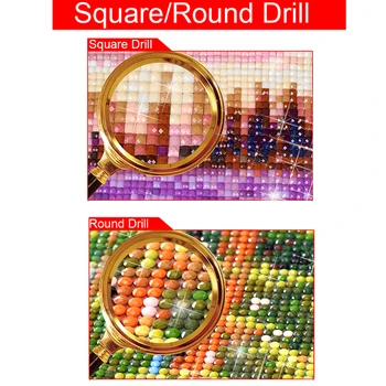 Pilna 5D Diy Kvadrātveida/Apaļā Daimond Gleznas Divi gulbji 3D Dimanta Krāsošana Rhinestones Gleznas, Izšuvumi, D9