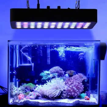 Regulējamas 165w Pilna spektra led akvārija lampas koraļļu rifu akvāriju led apgaismojums labākais Zivju akvāriji Jūras augu Augšanas