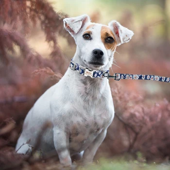 Neilona Pet Suns Pavadā Apmales Iestatīt Personalizētu Kucēns ID Nosaukums Radīt Nelielu Vidēji Lieli Suņi Pitbull Buldogs Pugs Bīgls Pielāgota