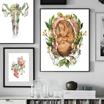 Bērnu Plakātu, Anatomijas un Botāniskais krāsošana Maksts Vulva Ziedi Botāniskais paintingsCanvas Drukāt Ķermeņa Izglītības Krāsošana