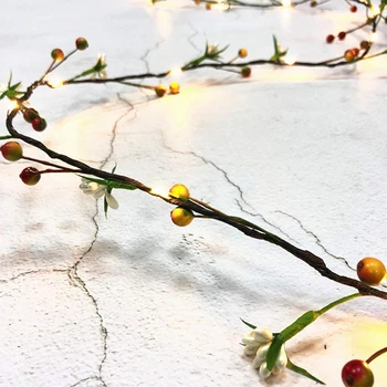 2M 20leds Augļu Vara Stieples LED String Gaismas Svētku apgaismojums Pasaku Gaismas Ziemassvētku Vainags Jauno Gadu Kāzu Dekori