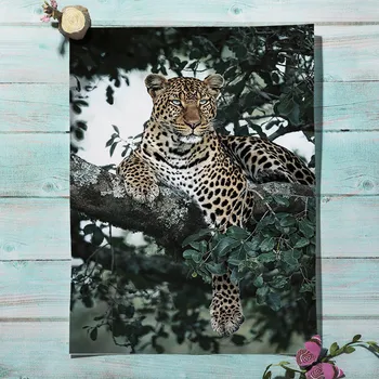 Džungļu Savvaļas Leopards, Zilonis Tropu Putnu Lapu Ziemeļvalstu Plakātu Sienas Art Print Audekla Apgleznošana Sienu Attēlu Dzīvojamā Istaba Dekori