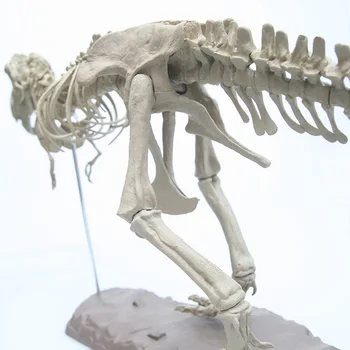 Lielu Dinozauru Fosilo Galvaskauss Dzīvnieku Modelis Rotaļlietas Tyrannosaurus rex Apkopot skelets modeļa Interjera priekšmeti dekorēšanai
