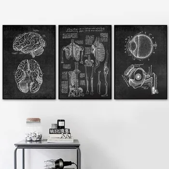 Kāju Muskuļu, Kaulu Un Sirds Anatomija Skelets Sienas Mākslas Audekls Gleznošanai Ziemeļvalstu Plakāti Un Izdrukas Sienas, Attēlus Ārsta Birojs Dekori