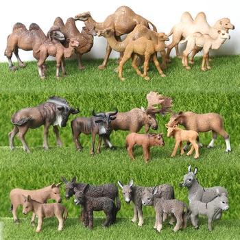 Reāli Plastmasas Statuetes Saimniecības Pasaules Equus kiangs,Puatū ēzelis,Kamielis,tuksnesis Kolekcija Izglītības Statuetes Bērniem