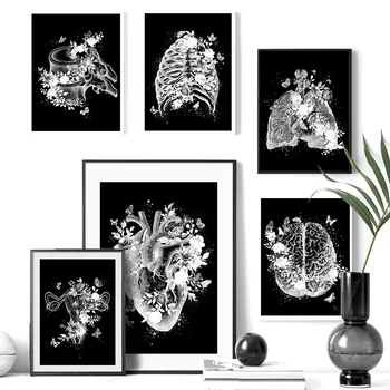 Melna Balta Anatomija skelets Plakātu Sienas Mākslas Audekls Gleznošanai Ziemeļvalstu Plakāti Un Izdrukas Sienas, Attēlus Ārsta Birojs Dekori